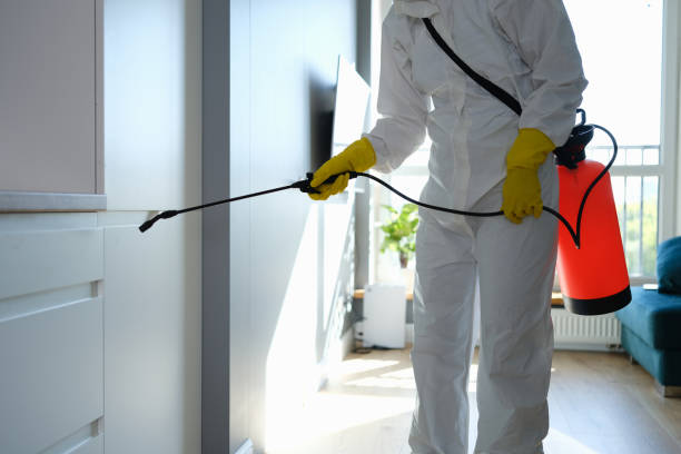 Best Mold Damage Repair  in Kana, UT