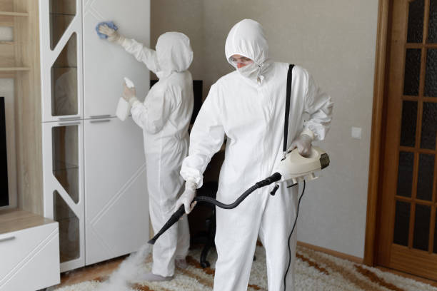 Best Mold Damage Repair  in Kana, UT