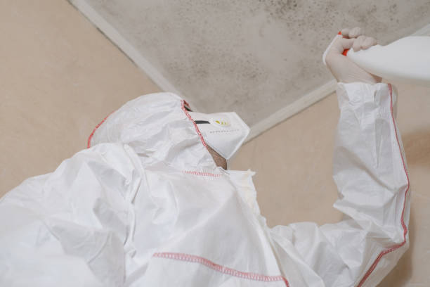 Best Fast Mold Removal  in Kana, UT